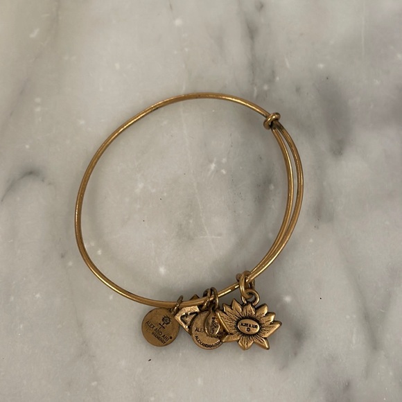 Alex & Ani charm duo bangle - Picture 1 of 1